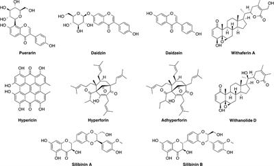 Ethnopharmacological Applications Targeting Alcohol Abuse: Overview and Outlook